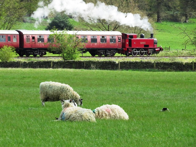 Park Hill Colliery No. S102 Cathryn (Hudswell Clarke 1884/1955)